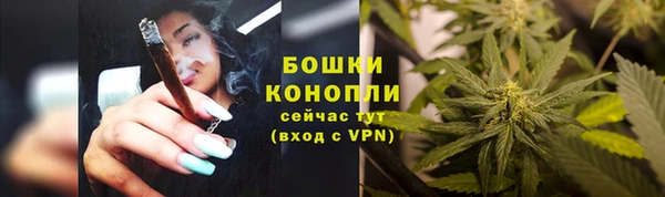 шишки Богородицк